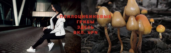 СК Алексин
