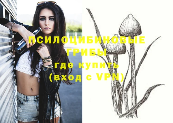 твердый Алексеевка