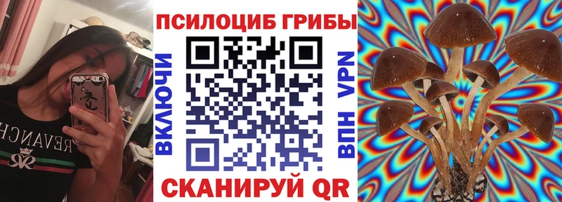 Галлюциногенные грибы мицелий  купить наркотик  Котовск 